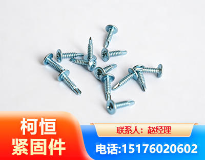 常州华司钻尾丝