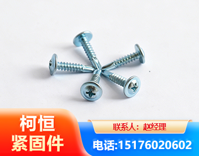 常州华司钻尾丝